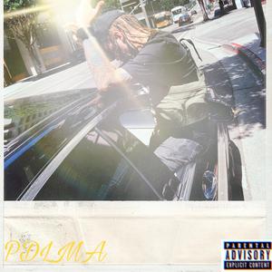 Pdlma