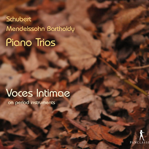 Piano Trio No. 2 in E-Flat Major, Op. 100, D. 929: II. Andante con moto