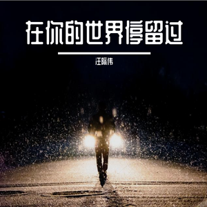 在你的世界停留过