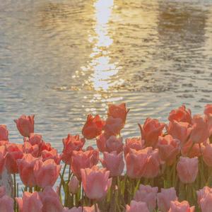 Ebiere-wonderful（爱吃大饼 remix）