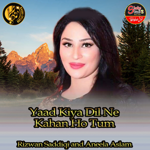 Yaad Kiya Dil Ne Kahan Ho Tum (1)