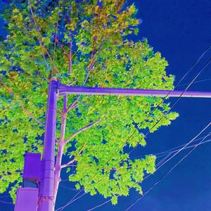 午上_20220425_123744