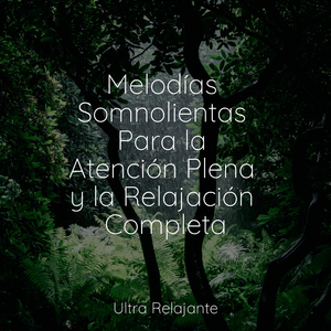 Calma Del Río Que Fluye