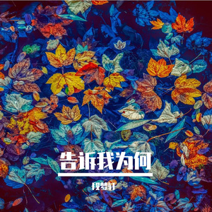 告诉我为何 伴奏