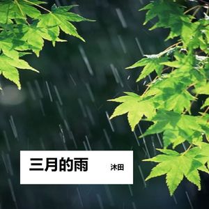三月的雨