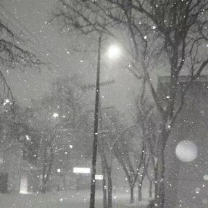 落拓（prod averatec）