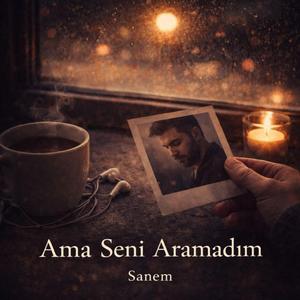 Ama Seni Aramadım