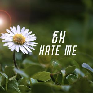 Ex Hate Me