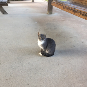 You're Good But Not Great Yet