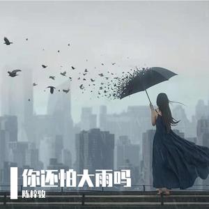 你还怕大雨吗