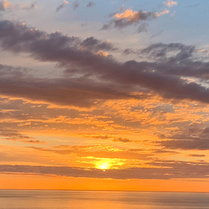 Grull (16 Years Old)