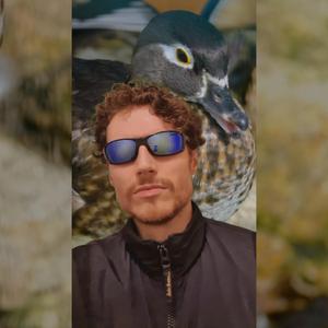 DUCK HEAD (Chase Springs)