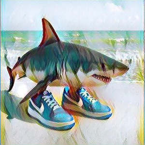 Shark With Blue Shoes