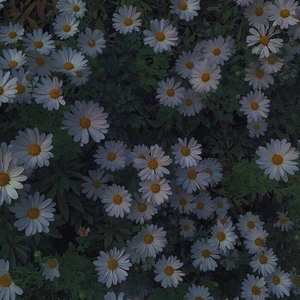 FREE "Faraway" Ella Mai x Melodic Type Beat