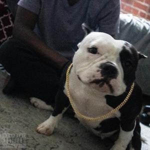 Triple 7 Mafia (feat. zicolae & kissing ghosts)