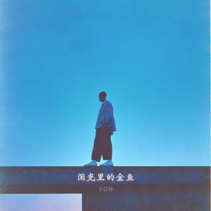 泪光里的金鱼