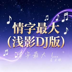 情字最大 (浅影DJ版)