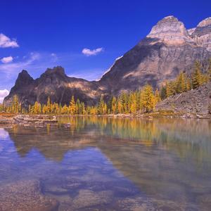 喜欢我们一起慢慢变老