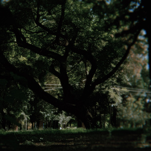 distant