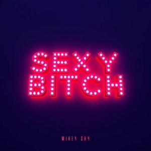Sexy Bitch (Techno)