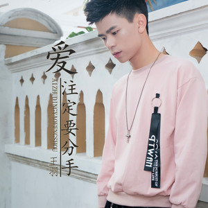 爱注定要分手（Cover 牛力）