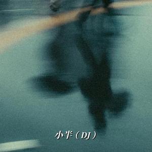 小半（DJ）