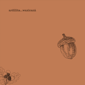 Ardillita