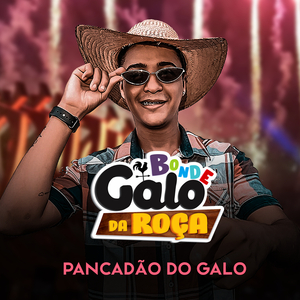 Desce Com a Tcheka (feat. Mc Tikinho)