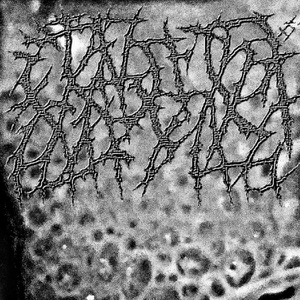 4.我几把都不是