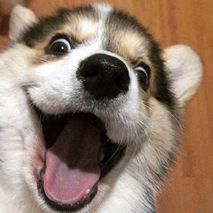 别再对我好(片段)