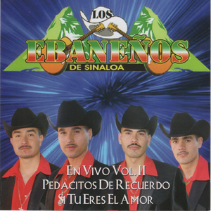 La Borradita