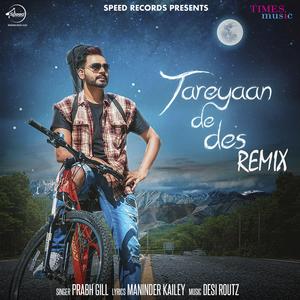 Tareyaan De Des (Remix)