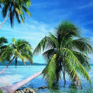 你一眨眼，就翻阅了我心里的春夏秋冬