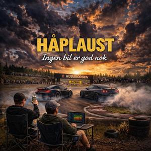 Ingen bil er god nok