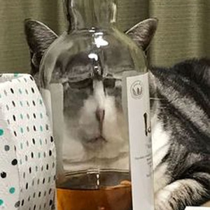 I Love You Baby (slowed)