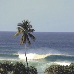 夏天的风wav
