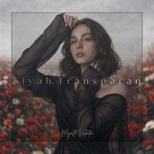 Siyah Transparan
