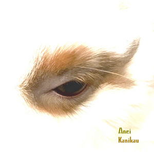 Kanikau