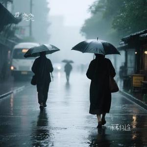 雨幕归途