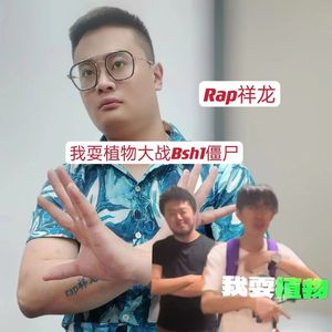 我耍植物大战僵尸Bsh1