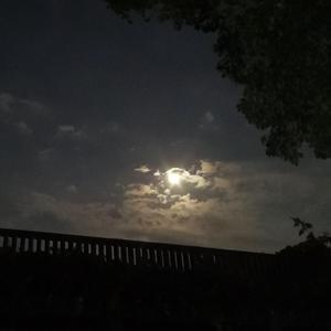 暗恋 prod neonmusic