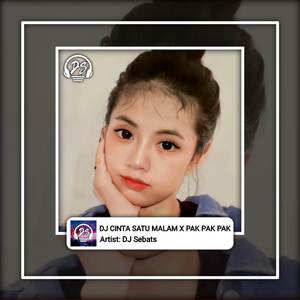 DJ CINTA SATU MALAM X PAK PAK PAK