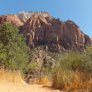 いつだってあなたのことばかり バンジョー