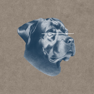 Why do you always (Feat. 멧돼지)