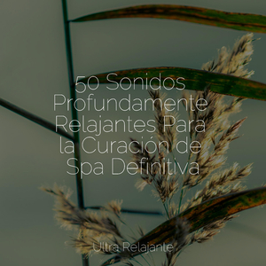 Peluche