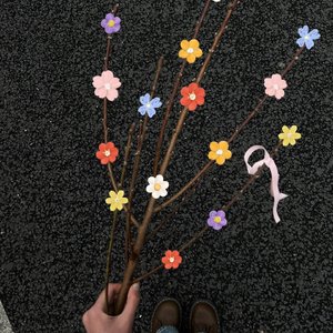 你在我的春天种下了芽 伴奏