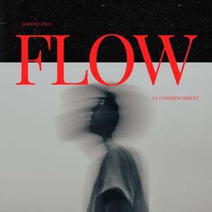 Flow
