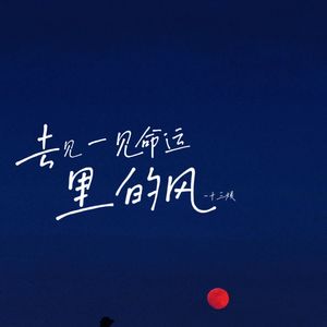 去见一见命运里的风