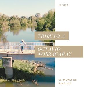 Cantándole Al Cielo (En Vivo)