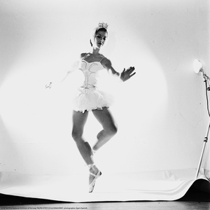 The Ballet Dancer